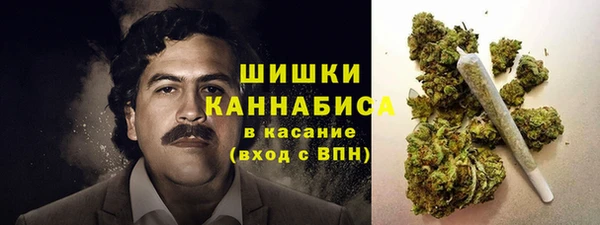 сатива Горняк