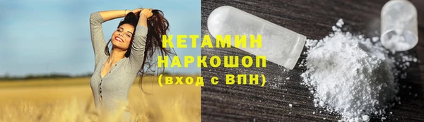 сатива Горняк