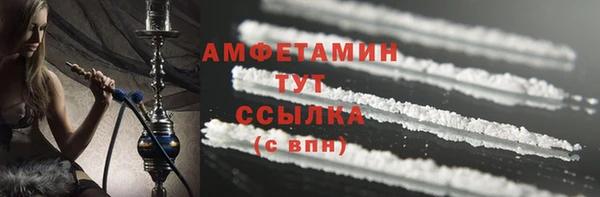 сатива Горняк