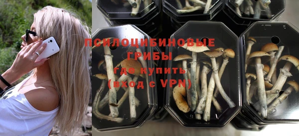 таблы Горнозаводск