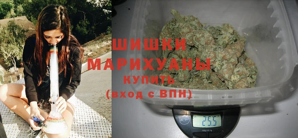 сатива Горняк