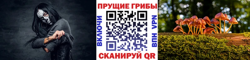 Галлюциногенные грибы ЛСД  купить закладку  Змеиногорск 